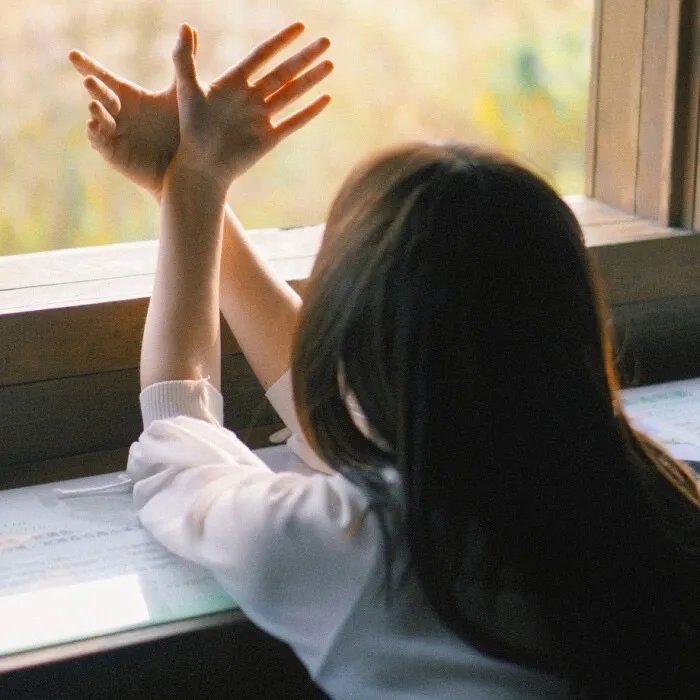 弗兰肯斯坦计划